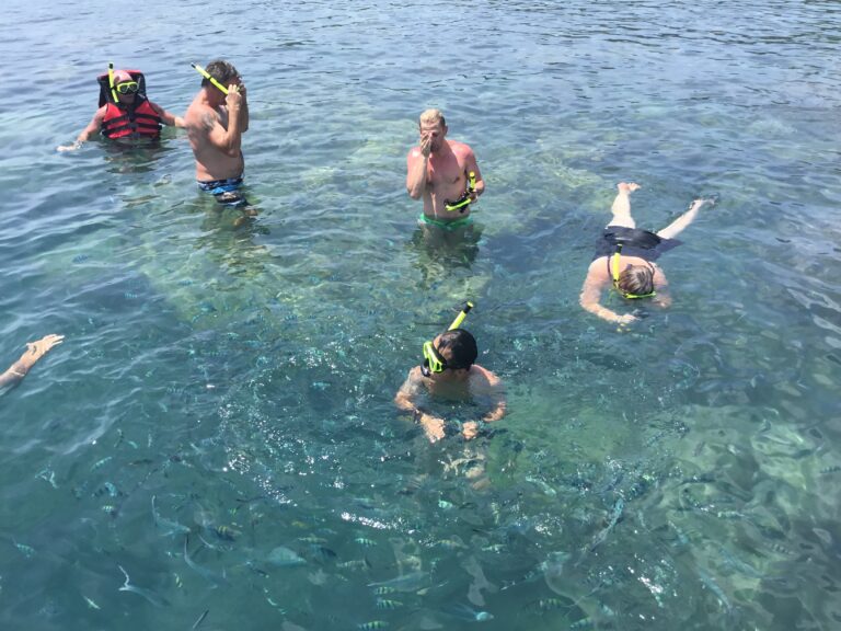 Pig Island & Koh Tan Snorkeling by Speed boat